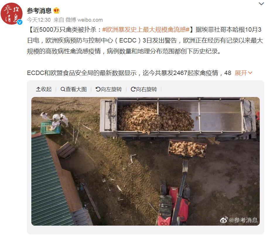 關(guān)注！歐洲暴發(fā)史上最大規(guī)模禽流感，波及37個(gè)國家！近5000萬只禽類被撲殺，蛋價(jià)會(huì)上漲么？