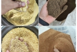 飼料原料驗(yàn)收的“望、聞、問(wèn)、切”